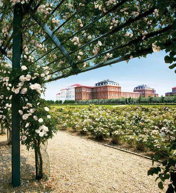 I giardini e il Potager Royal Oltre 50 ettari di giardini, orti, frutteti e natura completano l architettura della Reggia.