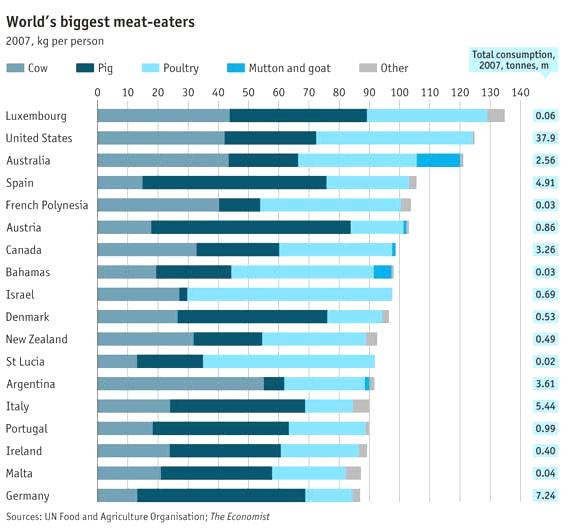 Consumo di carne pro-capite - Anno 2007 Bovini Maiale