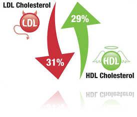 Beneficisalutari Salutare livello di colesterolo UNO STUDIO HA DIMOSTRATO IL MANTENIMENTO DI COLESTEROLO SALUTARE, E DEI LIVELLI DI HDL, E LDL DOPO 3 MESI DI ASSUNZIONE DI VIDACELL * Luu Ngan Tam, M.