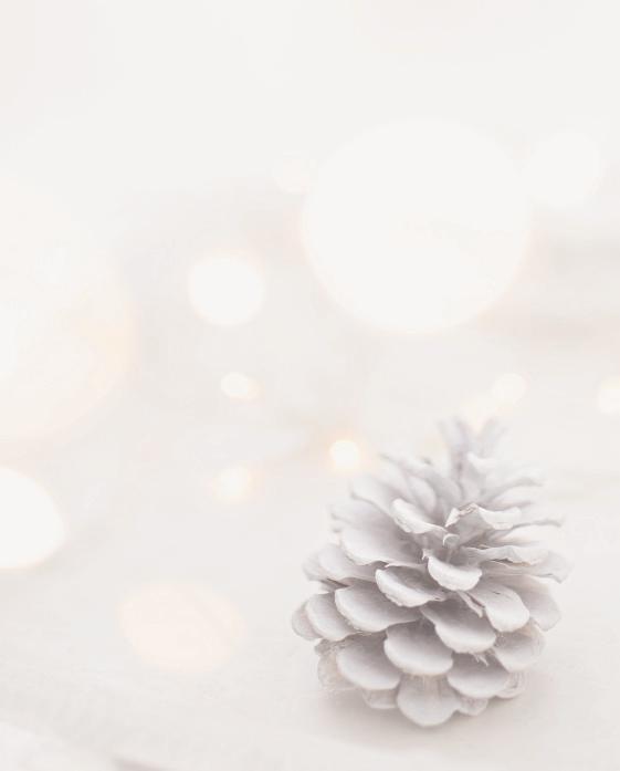Cesti e carte regalo Quest anno a Natale scegliete di regalare un emozione con le nostre carte regalo