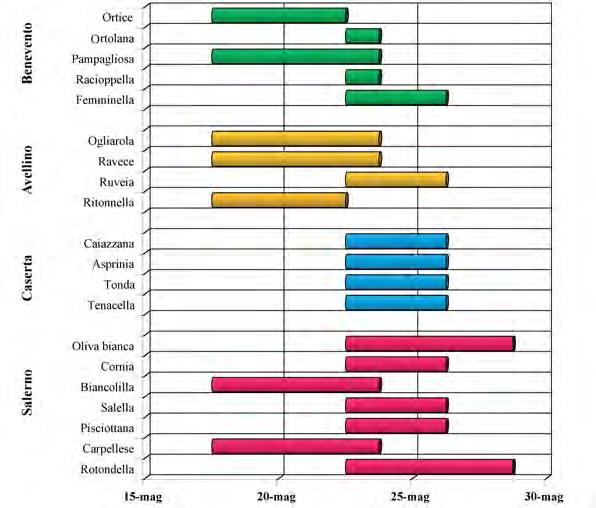 Caratterizzazione morfologica e bio-agronomica delle cultivar campane di olivo 21 Figura 4: Fenogramma della fioritura delle 20 cultivar di