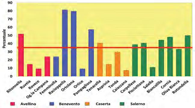 26 Caratterizzazione morfologica e bio-agronomica delle cultivar campane di olivo Le osservazioni sull'attitudine alla radicazione delle talee hanno evidenziato un elevata variabilità tra le cultivar.