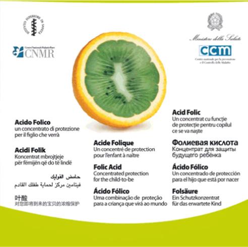Opuscoli divulgativi per la diffusione della raccomandazione Nel 2005 il CNMR realizza il primo opuscolo Acido Folico.