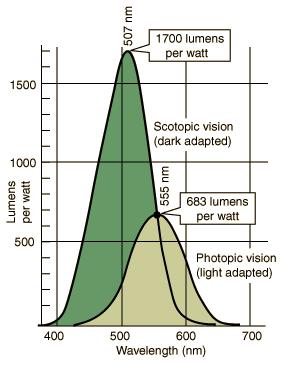Radiometria e fotometria FATTORE DI VISIBILITA Il fattore di visibilità esprime il rapporto tra l intensità della