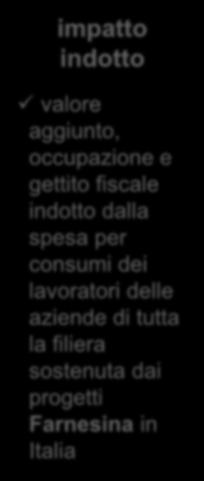 Stima Impatto Gli impatti - sintesi impatto diretto valore aggiunto generato dai progetti Farnesina in Italia occupazione sostenuta dai progetti Farnesina in Italia gettito fiscale generato dai