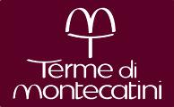Condizioni Come prenotare il pacchetto turistico Ranieri Tour Operator in collaborazione con le Terme di Montecatini, per facilitare la prenotazione del pacchetto prescelto, hanno creato una