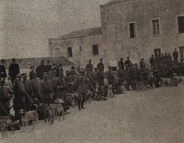 Porto di Cagliari, cani in partenza per la guerra in Libia, 1911 Storia La Sardegna è una terra di misteri e particolarità, il fatto di essere un'isola ha da sempre condizionato la nostra fauna, la