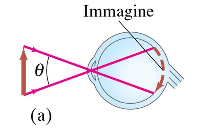 forma sulla retina. Le dimensioni dell immagine dipendono dall angolo θ sotto cui l oggetto viene visto.