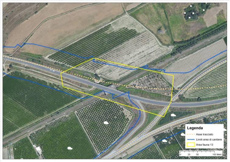 Figura 13 Area d'indagine Fauna 12 Fauna 13 L area è localizzata in prossimità dello svincolo della S.s. 534 con la S.s. 283 e del cavalcavia della S.s. 534 con la linea ferroviaria presente.