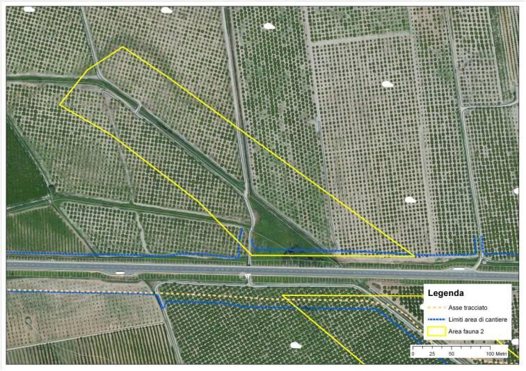 Figura 2 Area d indagine Fauna 1 Fauna 02 Quest area è localizzata tra lo svincolo della S.s. 534 con la S.s. 19 e il corso del fiume Coscile.