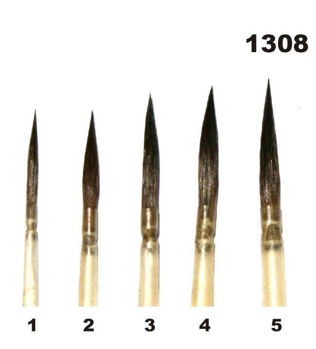 naturali, lunghezza del pelo: normale o corto Serie 1308