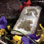 Pecorino Al Fieno Peso: 1.4-1.8 kg. Lavorazione: min. 100 gg. Pecorino prodotto con latte di pascolo e affinato al fieno di pascolo spontaneo. In un boccone i sentori di un prato in fiore.