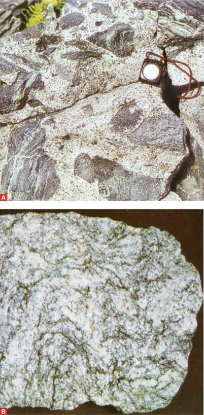 Metamorfismo regionale Interessa una grande estensione di rocce in aree orogenetiche. Le pressioni sono dovute al peso delle rocce sovrastanti e alle spinte tra masse rocciose contigue.