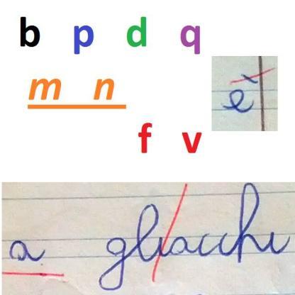 Indici Clinici nei DSA Indici Clinici per Dislessia Evolutiva, e/o Disortografia Evolutiva (anche DSL) Sviluppo del linguaggio Sviluppo abilità di Lettura Sviluppo abilità Ortografiche