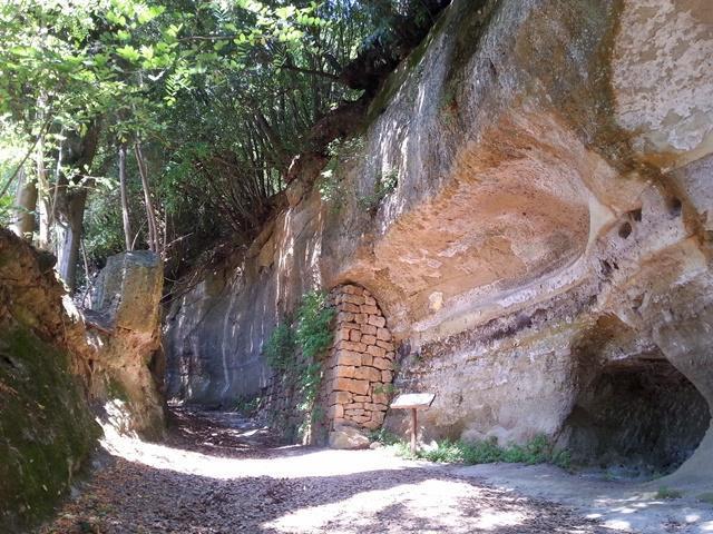 giacca a vento, bastoncini da trekking,