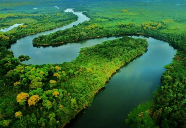 Le risorse forestali Si trovano in due aree della terra: Nelle zone equatoriali : foresta amazzonica, foresta equatoriale africana.