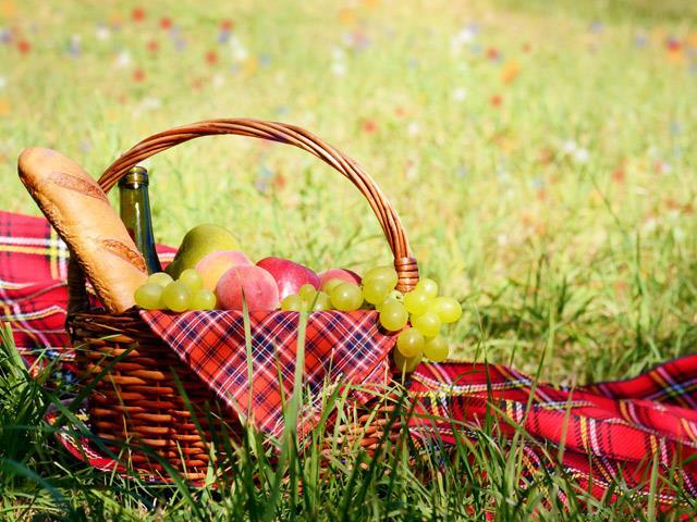 La sicurezza degli alimenti durante i pic-nic Non impacchettare i cibi per il picnic appena cotti o se sono ancora caldi in quanto l involucro rallenta il raffreddamento aumentando i rischi di