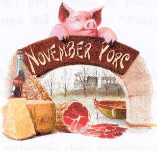 November Porc... speriamo ci sia la nebbia!