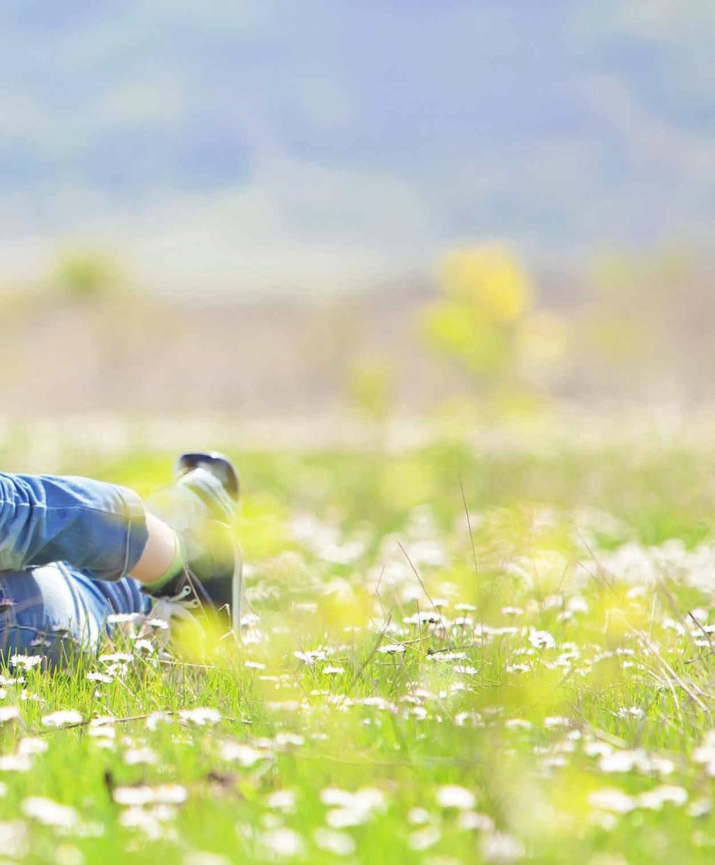 Responsibilità per generazioni Energia dal sole + pellets PREMIUM