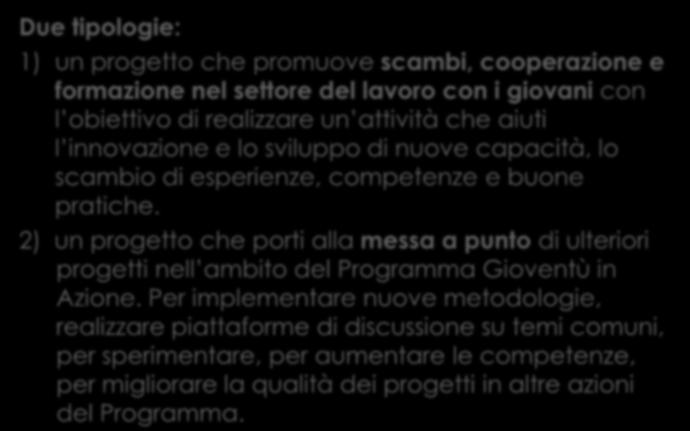 del lavoro con i giovani con l obiettivo di realizzare un attività che aiuti l innovazione e lo sviluppo di nuove capacità, lo scambio di esperienze, competenze e buone pratiche.