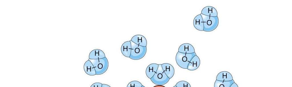 Gli ioni possono attraversare la membrana attraverso