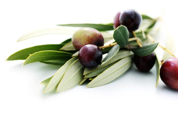 MOLIAMO LE OLIVE ITALIANE NEL NOSTRO