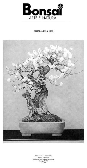 questo motivo che i bonsai dell Imperatore non sono sempre accuditi al meglio, ma si tratta comunque di esemplari che hanno una lunga storia alle spalle.