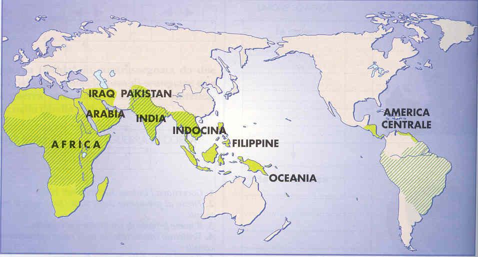 La decolonizzazione nel 900 Ecco i