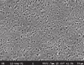 per gas caldi - Sterilizzabile con ogni procedimento - Porosità da 0,5 µm fino a, µm Descrizione 9.057 565 9.057 57 9.057 57 9.057 578 9.057 605 9.057 6 9.