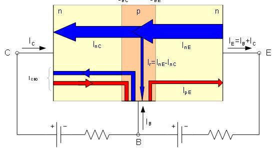 Analizziamo il caso in cui la giunzione Emettitore-base è polarizzata direttamente mentre quella base-collettore è polarizzata inversamente.