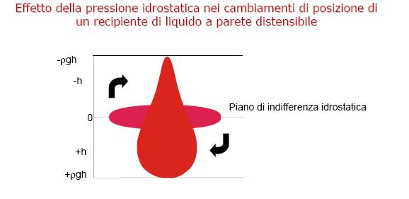 funzionamento sono l indebolimento e la