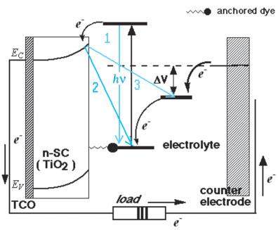 The triiodide then recovers its missing electron by diffusing to the counter-electrode, which reintroduces the electrons after flowing through the external circuit.