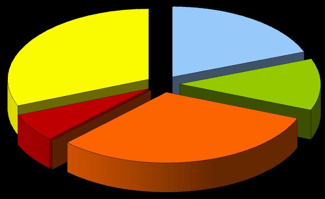 Solare 31,1% Idrica 19,2% Biomasse, Biogas e Bioliquidi 11,9% Eolica 6,5% Geotermica Fonti non rinnovabili 31,3% Totale: 57,08 TWh Figura 2.