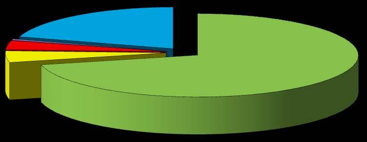 Biomasse 3,6% Eolici 0,3% Idroelettrici 20,4% Bioliquidi 4,4% Totale: 4 TWh Biogas 71,3% Figura 2.