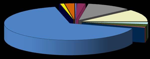 Gas residui di processi chimici 0,1% Olio combustibile 1,0% Gasolio 0,1% Altri combustibili 0,3% Rifiuti solidi urbani 2,4% Altri combustibili gassosi 2,1% Altri combustibili solidi 11,0% Biogas