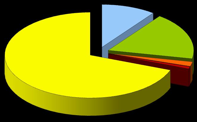 Idrica 10,3% Biomasse, Biogas e Bioliquidi 17,9% Solare 69,3% Eolica 0,8% Fonti non rinnovabili 1,7% Geotermica Totale: 20,33 TWh Figura 3.