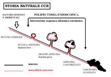 modalità di registrazione estensione anatomica avvio