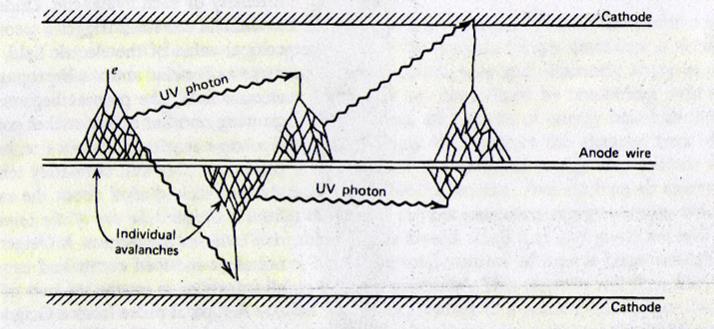 Contatori Geiger - Muller Sono utilizzati come contatori di radiazione e non in esperimenti di spettroscopia Caratteristiche Geometria cilindrica Gas a bassa affinità