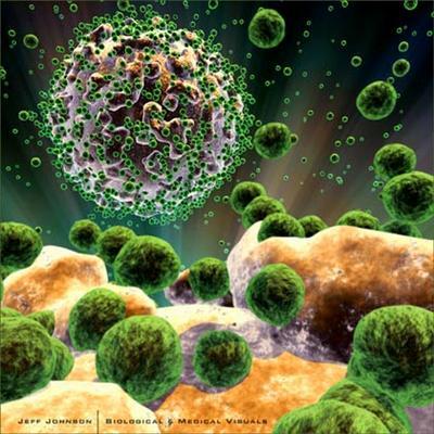 DIAGNOSI DI LABORATORIO Progressi nella conoscenza dei meccanismi immunopatogenetici dell infezione da HIV, dei