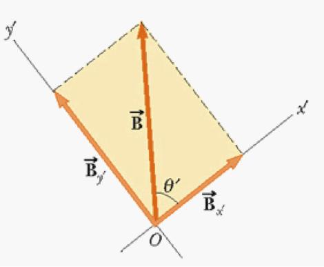 Vettore in sistema di coordinate ruotato Le coordinate di un vettore dipendono dal sistema di coordinate: se ruotiamo o trasliamo il sistema di riferimento, le coordinate di tutti i vettori cambiano