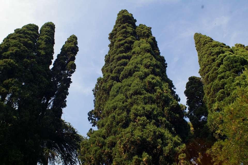 LO STUDIO DEI PARCHI E GIARDINI STORICI