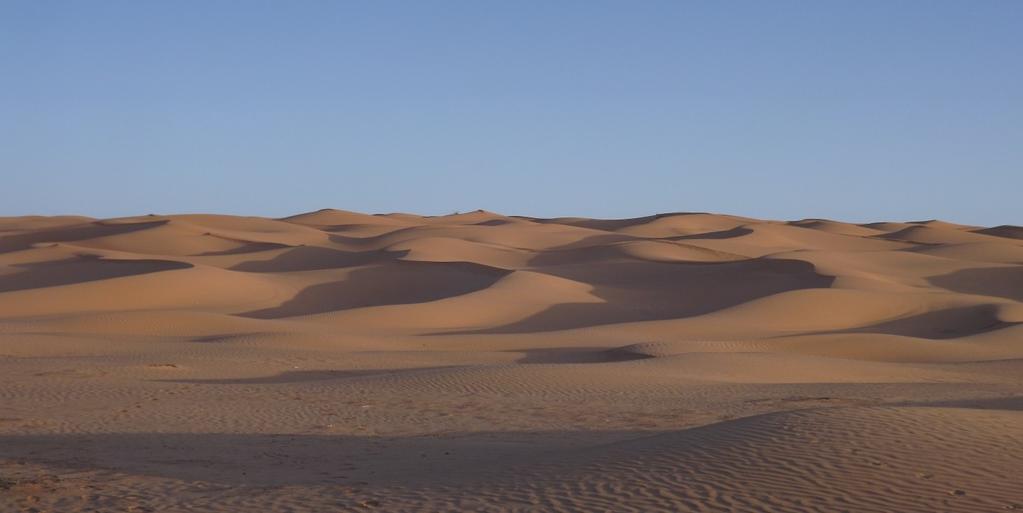 GIOVEDI 26 ORE 08:00 Ancora dune e sabbia direzione ovest per Taguoinite e poi M Hamid (km.328). Sosta snack-pranzo a proprio carico.