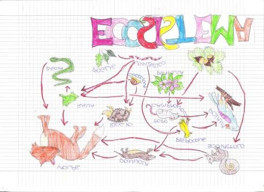 Le sostanze nocive Osserva il disegno: Attività dell uomoconseguenzeinquinamento prodotto mappa.