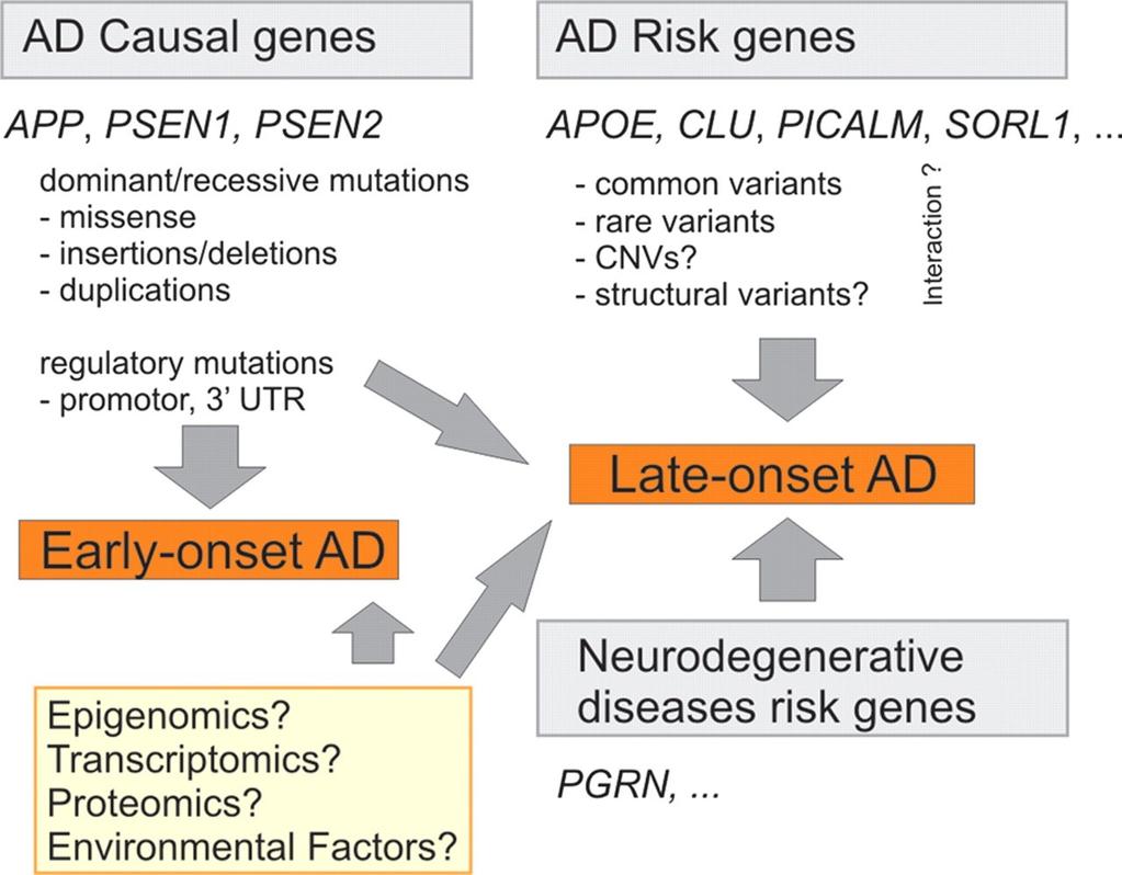 Geni & Alzheimer disease 178 mutazioni diverse in