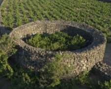 Dry-stone walls dewfall harvesting - Beyond wind sheltering, other less evident and less studied aspects may play a role on the general water balance of the peculiar agricultural systems of