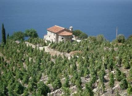 Figura 3 Vigneti terrazzati all Isola d Elba. Figure 3 - Terraced vineyards on the Elba Island.