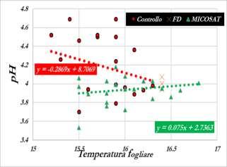 c è più acqua a disposizione). La luce invece non lo modifica ma se manca (nel buio) la temperatura non ha effetto sul ph.