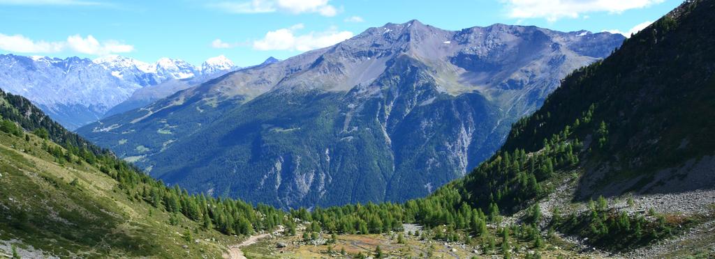 Benvenuti in Valdisotto Definito la porta di ingresso del Bormiese (centro economico, amministrativo e culturale di quella che nel Medioevo veniva chiamata la Magnifica Terra ) Valdisotto è il primo