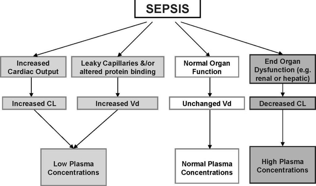 Sepsi severa e dose di mantenimento Dose di mantenimento in funzione della Cl AUC = dose/cl