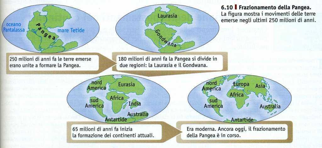 L evoluzione